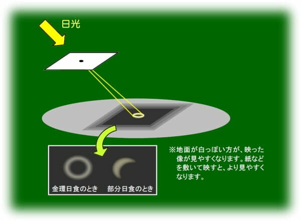 日 ショップ 食 グラス ない