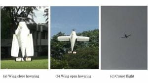 VTOL可能な飛行機型ドローン「U-Lion」 シンガポールで開発中