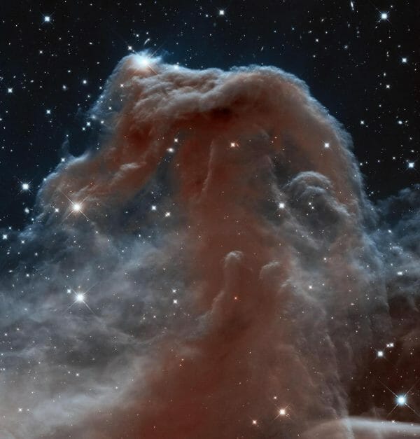 写真はハッブル宇宙望遠鏡が撮影したオリオン座にある馬頭星雲（Horsehead Nebula）