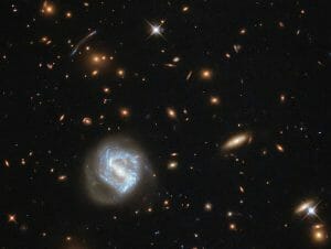 ハッブルが捉えた銀河団「SDSS J0333+0651」