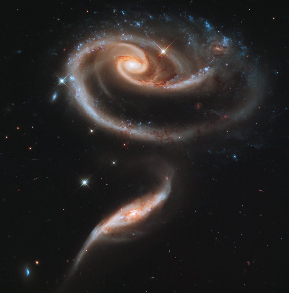 バラのような相互作用銀河「Arp 273」【今日の宇宙画像】