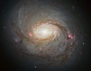 超大質量ブラックホールが生み出す銀河の光