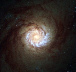 超大質量ブラックホールが影響する爆発的星形成