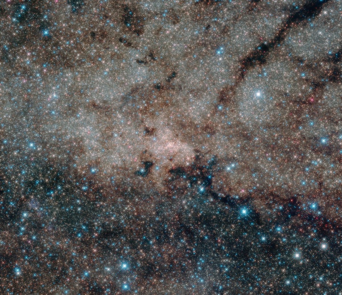 数えきれない星々と天の川銀河の中心にあるもの