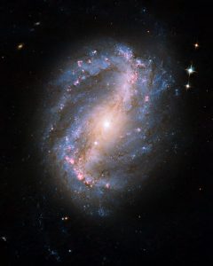 爆発的な星形成活動。一方で銀河中心の燃料は枯渇していた