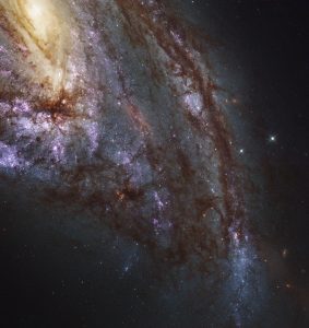 影響し合う三つ子銀河。備わった星のゆりかご
