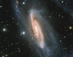 暗い星座からこぼれ落ちた様な銀河