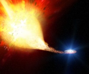 連星系の質量剥ぎ取りから超新星まで