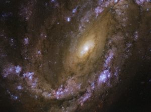 爆発的な渦中で見つかった3つの超新星