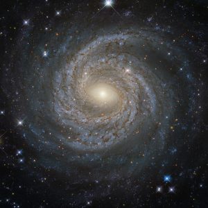 potw1619a-300x300.jpg