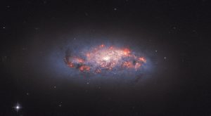 燃え上がるように咲く宇宙の花