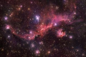 赤い翼を広げて宙を舞う星雲：IC 2177