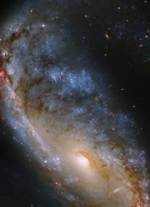S字フックぽい渦状腕を持つ銀河：NGC 2442
