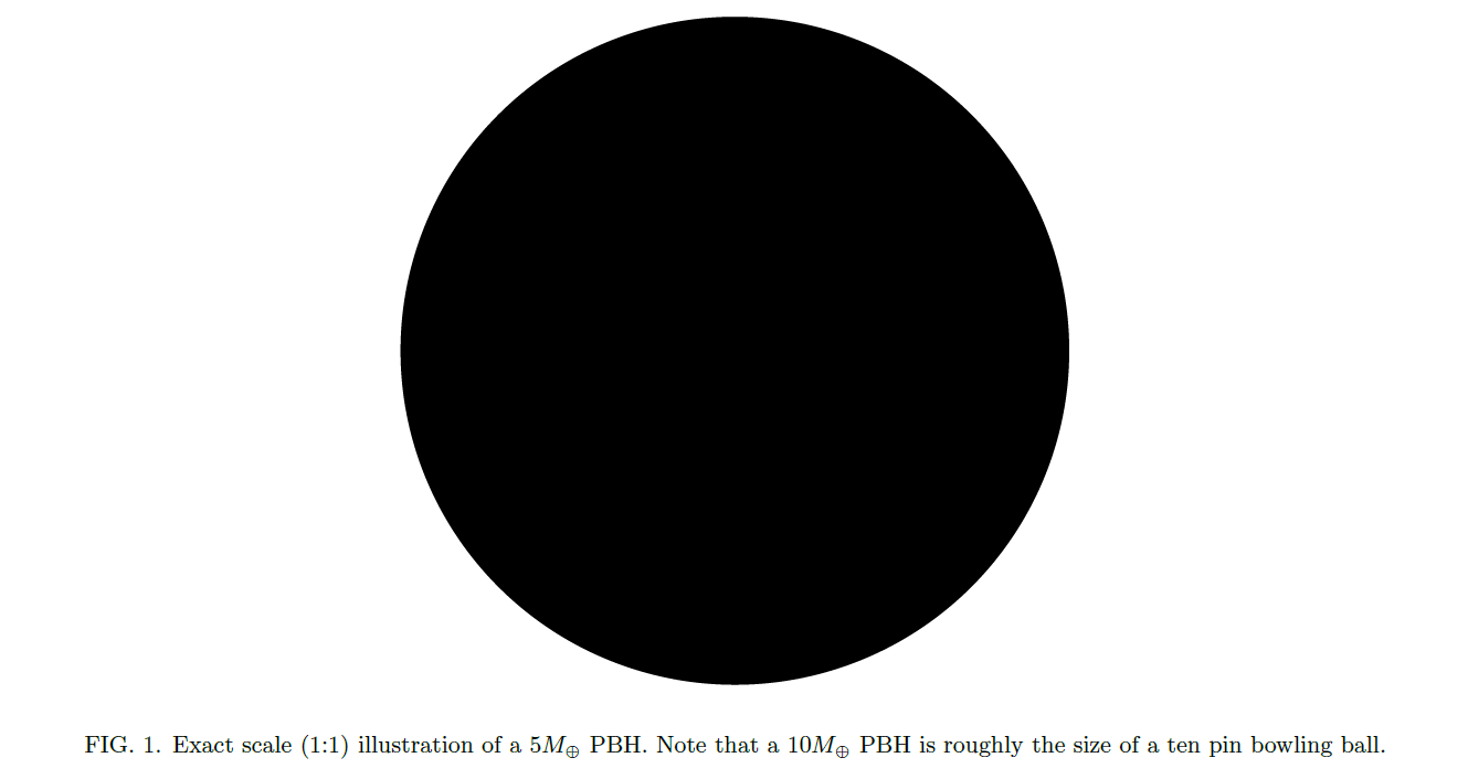 論文に記載されているブラックホール（の事象の地平面）の実物大イラスト（Credit: Jakub Scholtz et al.）