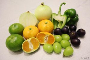 こうのとり8号機でISSに届けられた生鮮食品たち