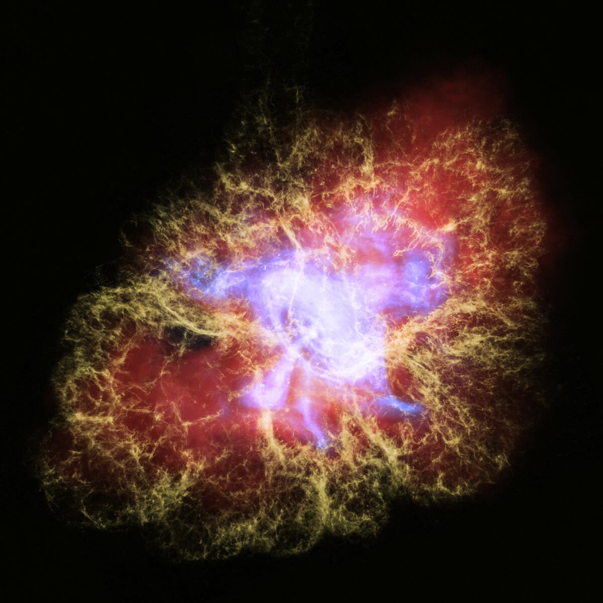 「かに星雲」1054年に観測された超新星の残骸【今日の宇宙画像】