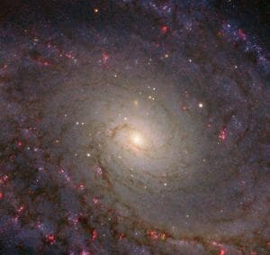 歪んだグランドデザイン渦巻銀河「NGC 5364」