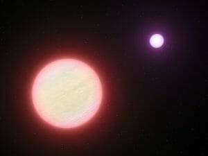 全部で3つの褐色矮星からなる三重連星がたまたま見つかる