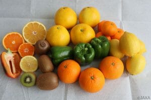 こうのとり9号機がISSに輸送した野菜や果物など生鮮食品