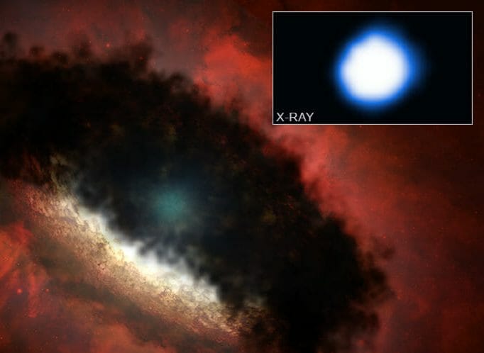 原始星の強力なX線フレアをNASAのX線観測衛星「チャンドラ」が捉えた