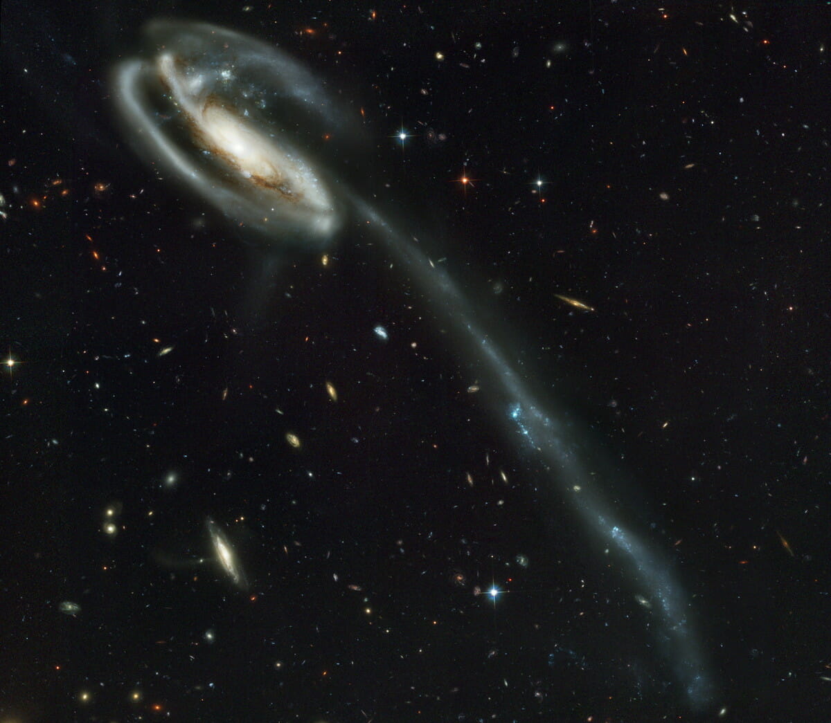 渦巻銀河「Arp 188」（おたまじゃくし銀河）