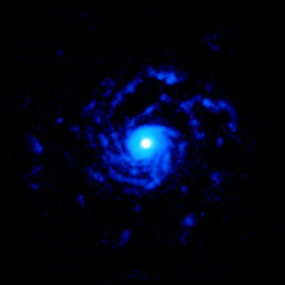 アルマ望遠鏡が観測した「おおかみ座RU星」