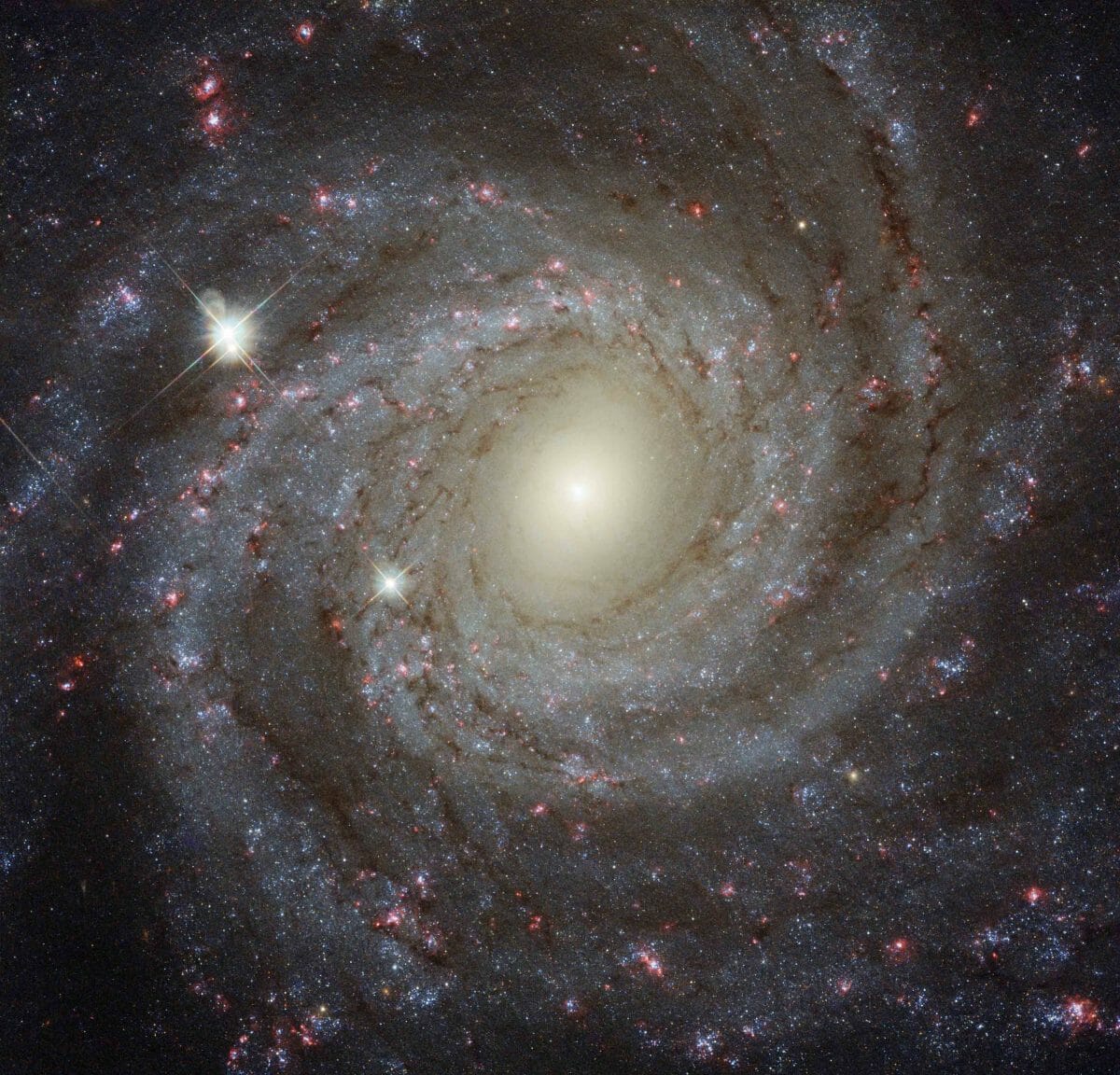 渦巻銀河 NGC 3344