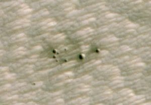 火星にできた小さな新しい衝突クレーター、AIを活用して発見