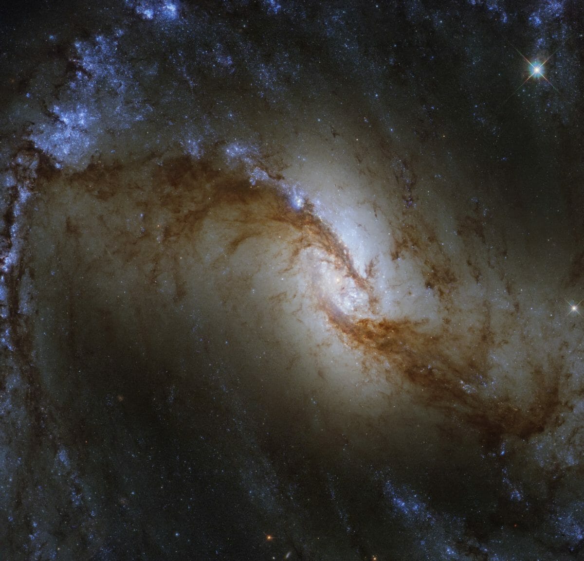 ハッブル宇宙望遠鏡が撮影したNGC 1365の中心付近（Credit: ESA/Hubble &amp; NASA, J. Lee and the PHANGS-HST Team）