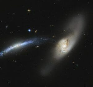 やまねこ座の相互作用銀河が描き出した青く美しい星々の流れ