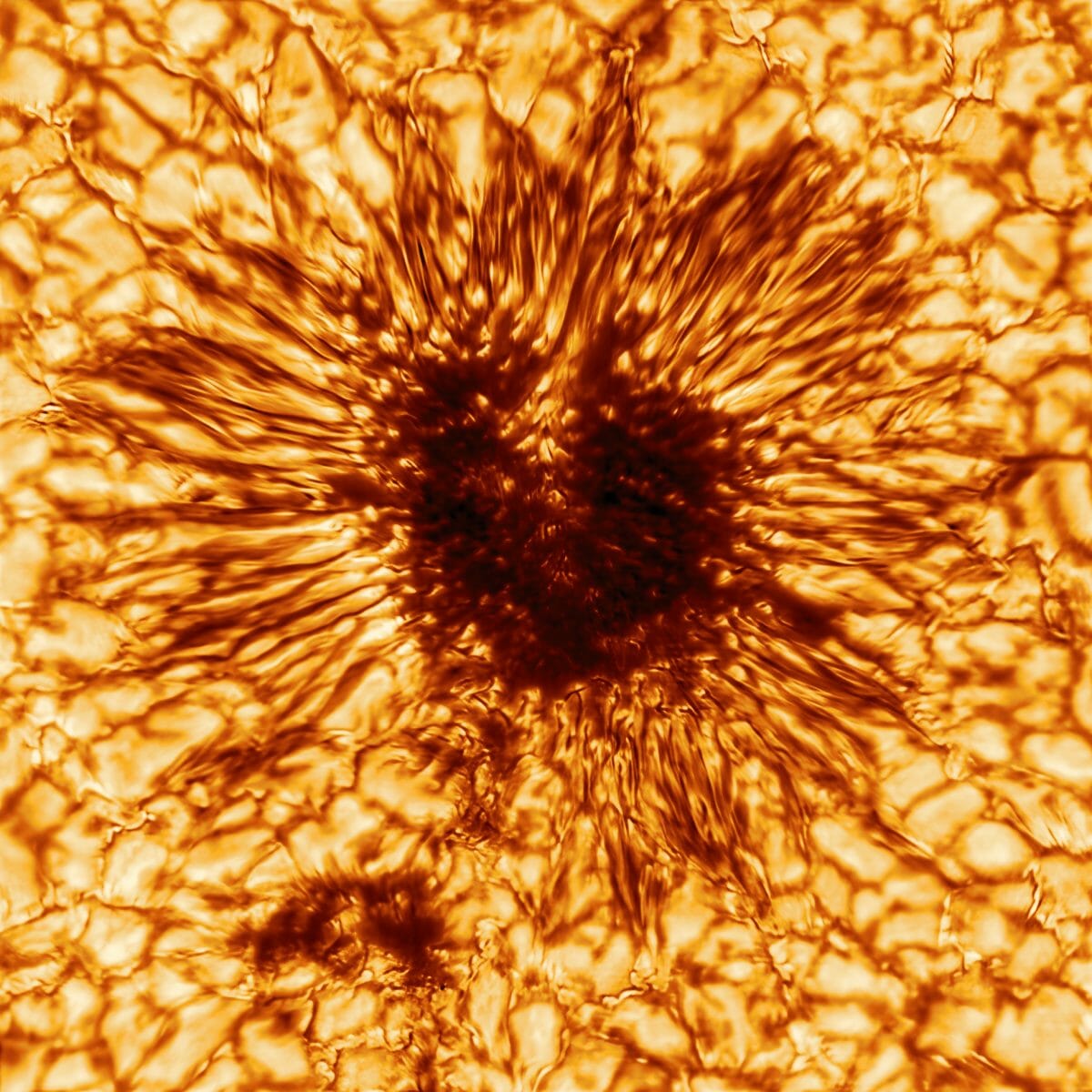 太陽黒点の詳細な画像。ハワイのダニエル・Ｋ・イノウエ太陽望遠鏡が撮影