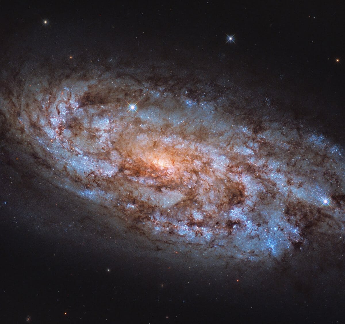 活発に星々を生み出している”はと座”のスターバースト銀河「NGC 1792」