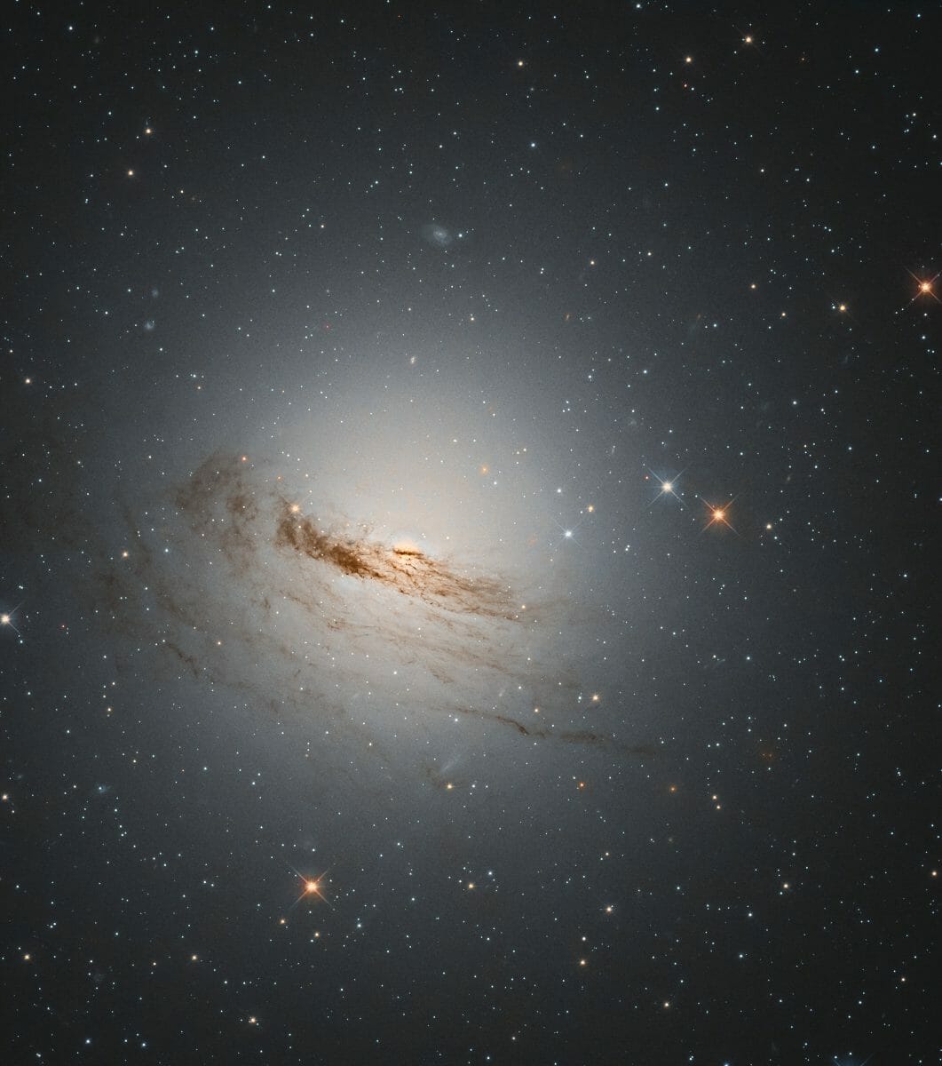 レンズ状銀河「NGC 1947」（Credit: ESA/Hubble & NASA, D. Rosario）