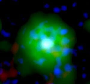 寿命が約1万年しかない！白色矮星の合体で誕生した「ネオン光」を放つ新種の天体
