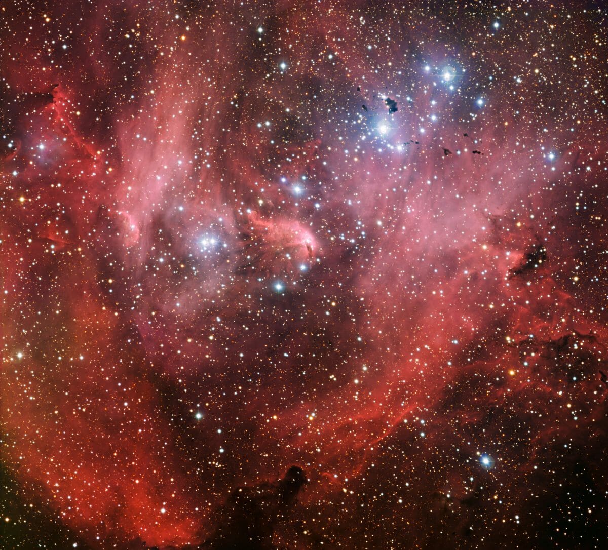 赤い光の海に浮かぶ若い星々と暗黒の雲、“ケンタウルス座”の輝線星雲