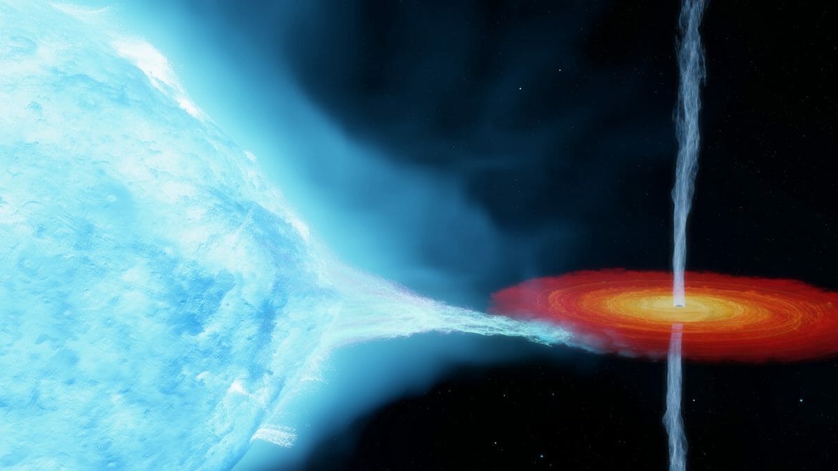 「はくちょう座X-1」を描いた想像図。青色超巨星（左）から恒星質量ブラックホール（右）へと流れ込んだガスが降着円盤を形成し、ジェットが噴き出している（Credit: International Centre for Radio Astronomy Research）