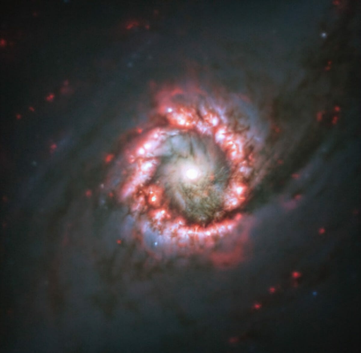 ブラックホールの周囲に咲く宇宙のバラ。棒渦巻銀河「NGC 1097」