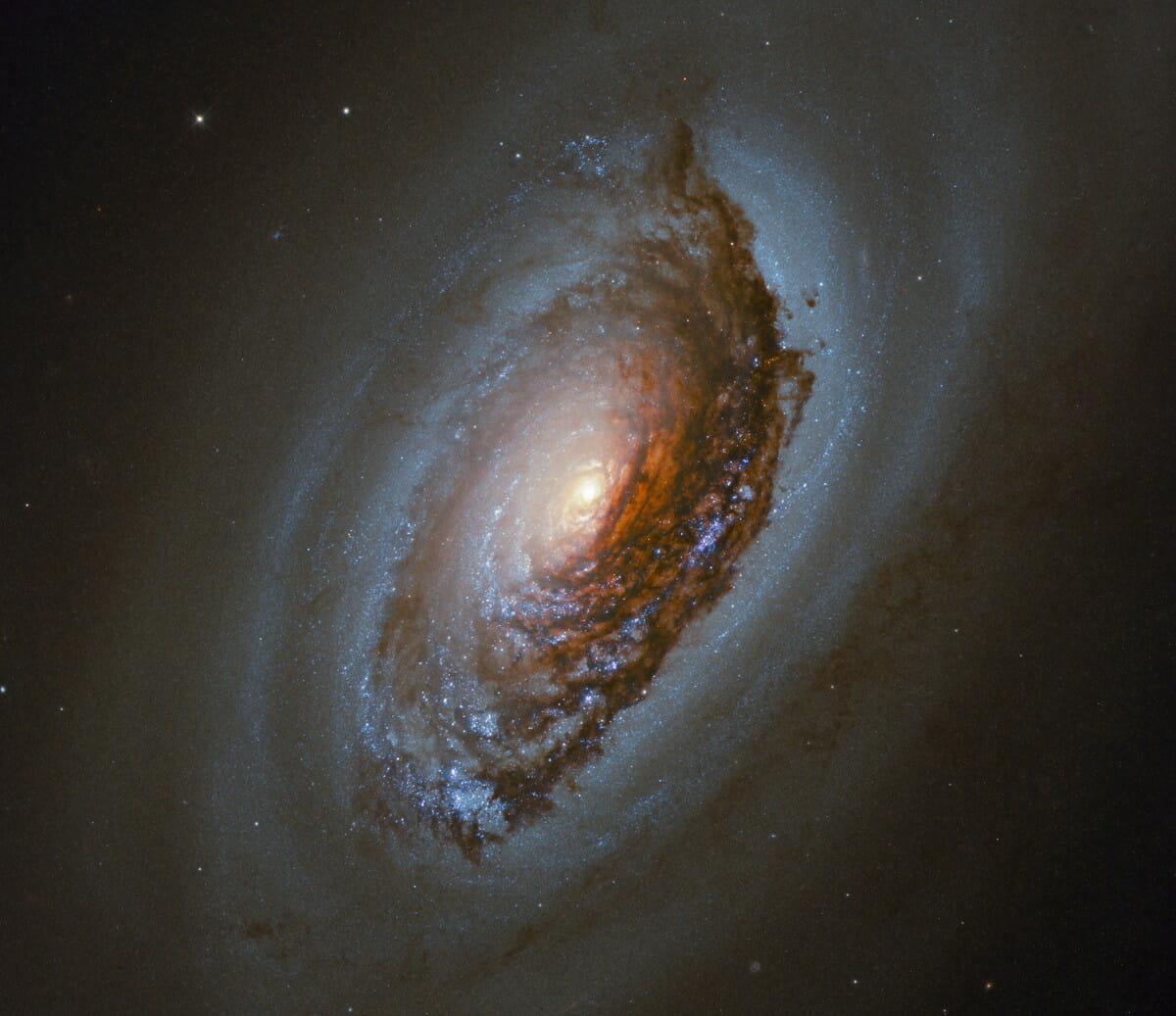 渦巻銀河「NGC 4826」（M64）（Credit: ESA/Hubble & NASA, J. Lee and the PHANGS-HST Team）