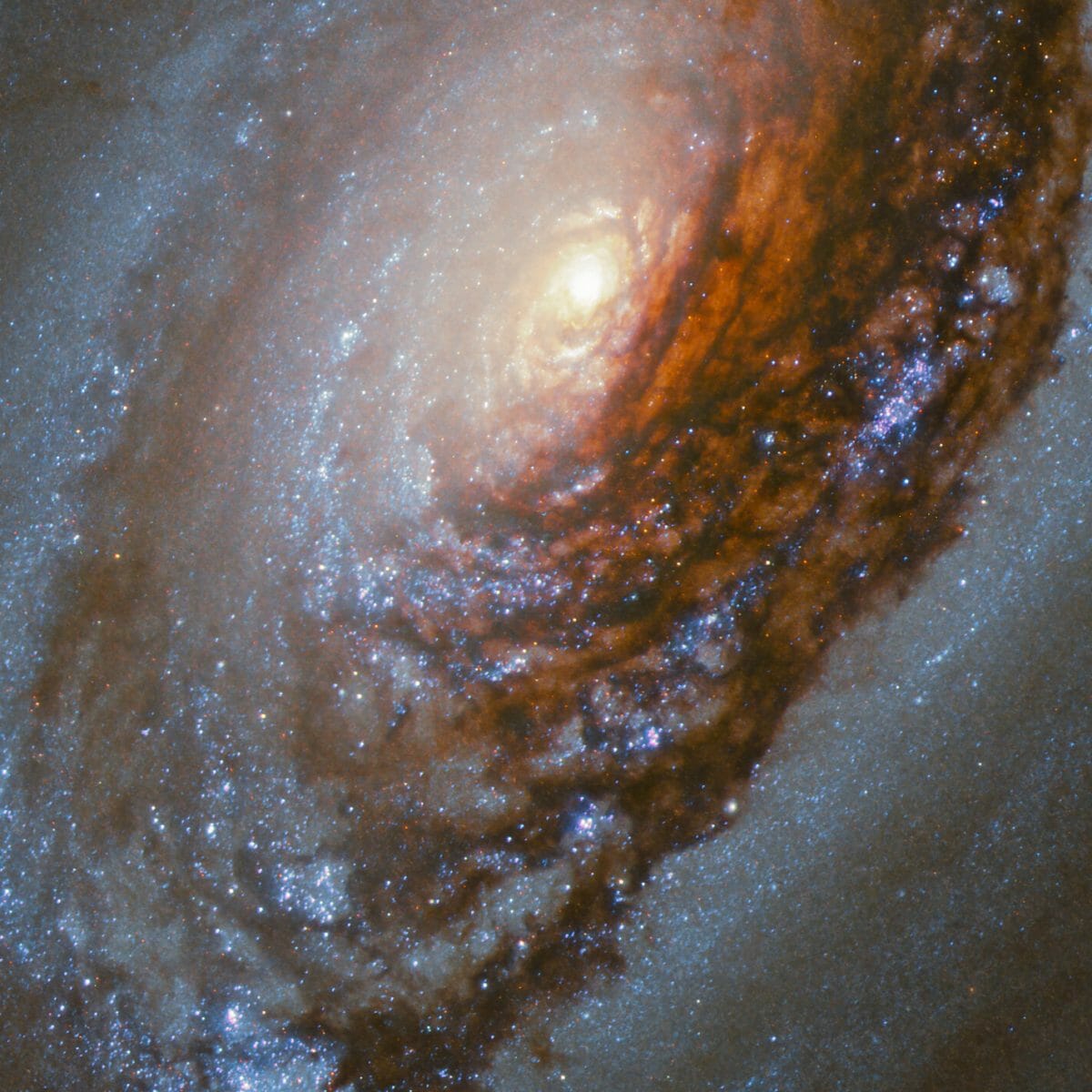 NGC 4826を捉えた冒頭の画像を拡大したもの（Credit: ESA/Hubble & NASA, J. Lee and the PHANGS-HST Team）