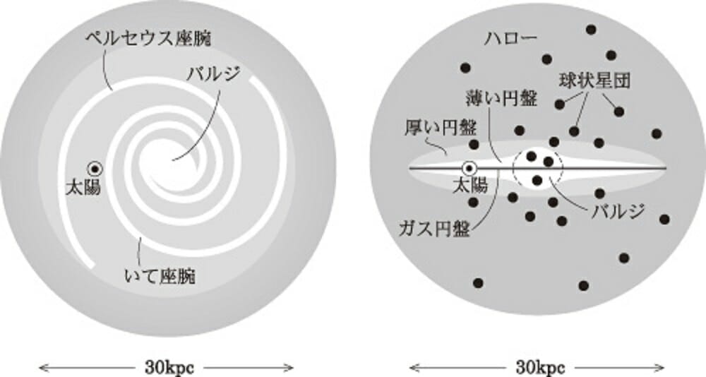 disk_pop-1-1（Credit：天文学辞典（日本天文学会））