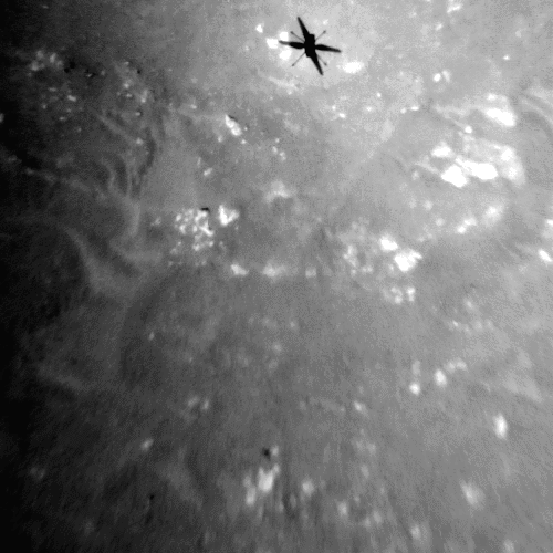 Ingenuityのモノクロカメラによって3回目の飛行中に連続撮影された画像から作成された動画。地表の特徴に位置を合わせて合成されているため、Ingenuityの影が移動している（Credit: NASA/JPL-Caltech）