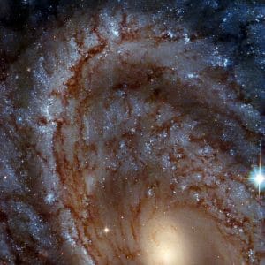 宇宙で距離を測るための「はしご」を探した渦巻銀河「NGC 4603」