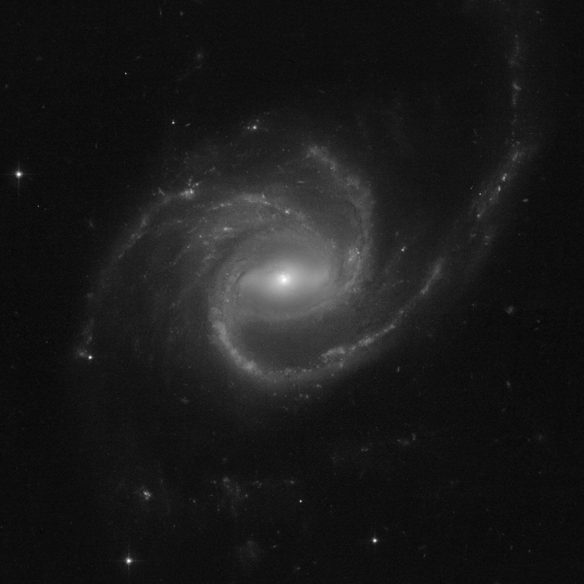 渦巻銀河「ARP-MADORE0002-503」 （Credit: NASA, ESA, STScI, Julianne Dalcanton (UW), Processing: Alyssa Pagan (STScI)）