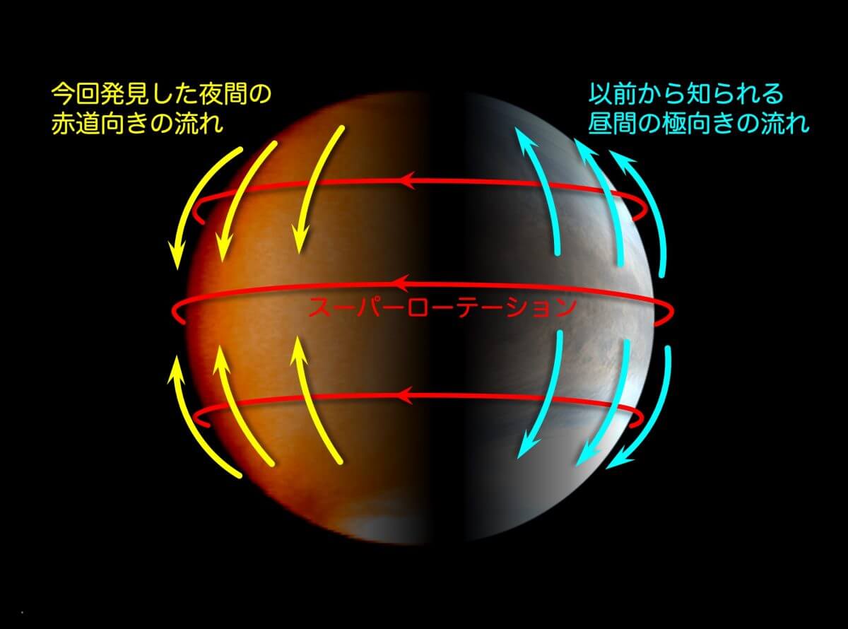 今回の研究成果を示した模式図。スーパーローテーション（赤）と重なるように、金星の雲頂付近では昼間に両極へ向かう流れが（水色）、夜間は打ち消すように赤道へ向かう流れが（黄色）卓越しており、こうした流れの違いは熱潮汐波によるものとされている。金星の画像は昼側が「あかつき」の紫外イメージャ「UVI」、夜側は中間赤外カメラ「LIR」で撮影されたもの（Credit: 東京大学, 金星画像はJAXA提供）