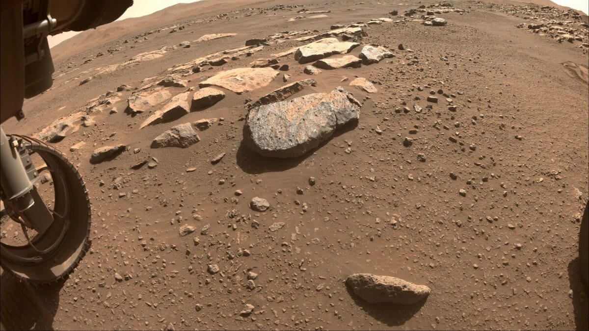 Perseveranceが撮影した岩石「ロシェット」（中央）（Credit: NASA/JPL-Caltech）