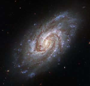 穏やかに渦巻く“とけい座”の渦巻銀河、ハッブル宇宙望遠鏡が撮影した「IC 1954」