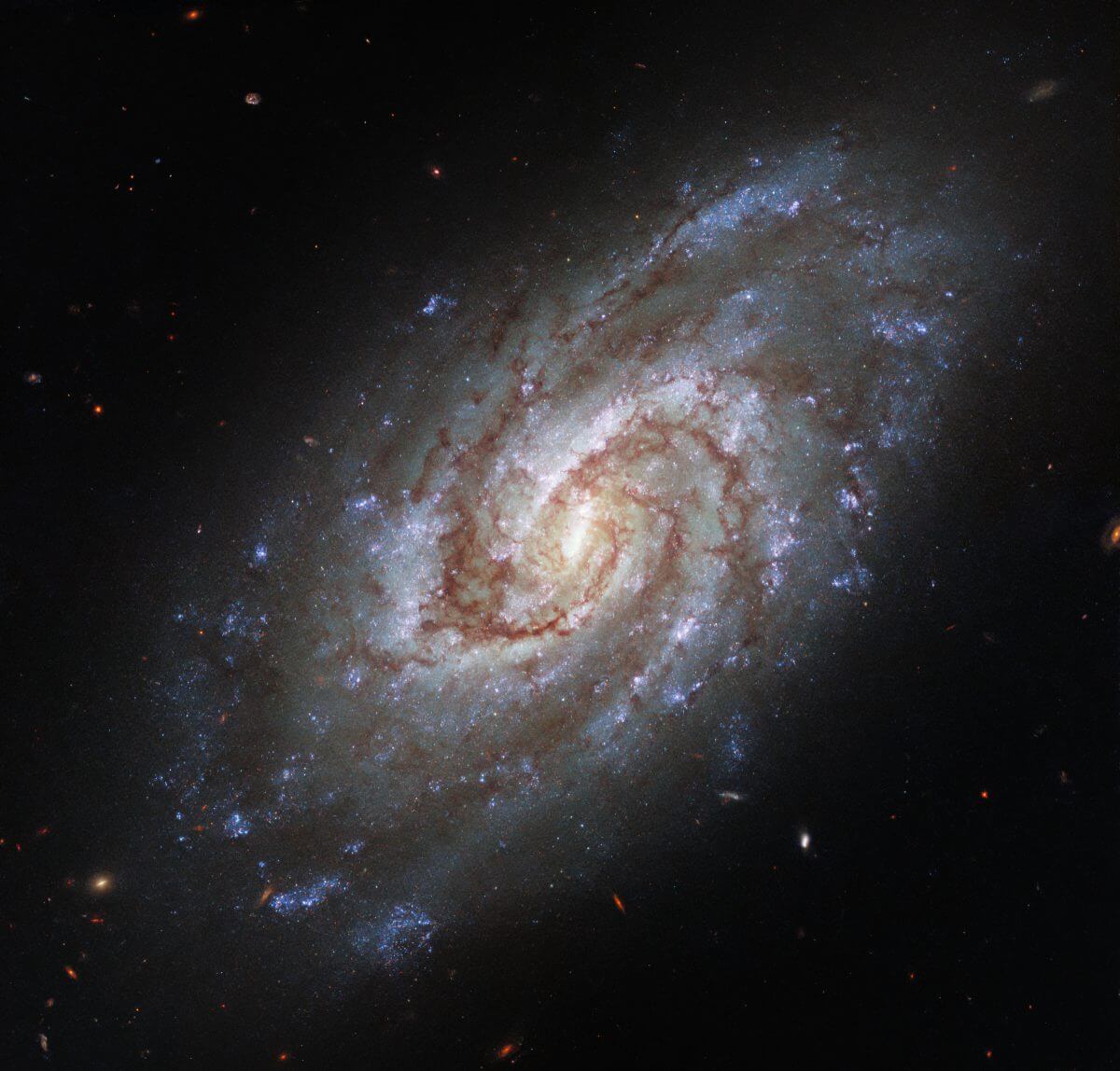渦巻銀河「IC 1954」（Credit: ESA/Hubble &amp; NASA, J. Lee and the PHANGS-HST Team）