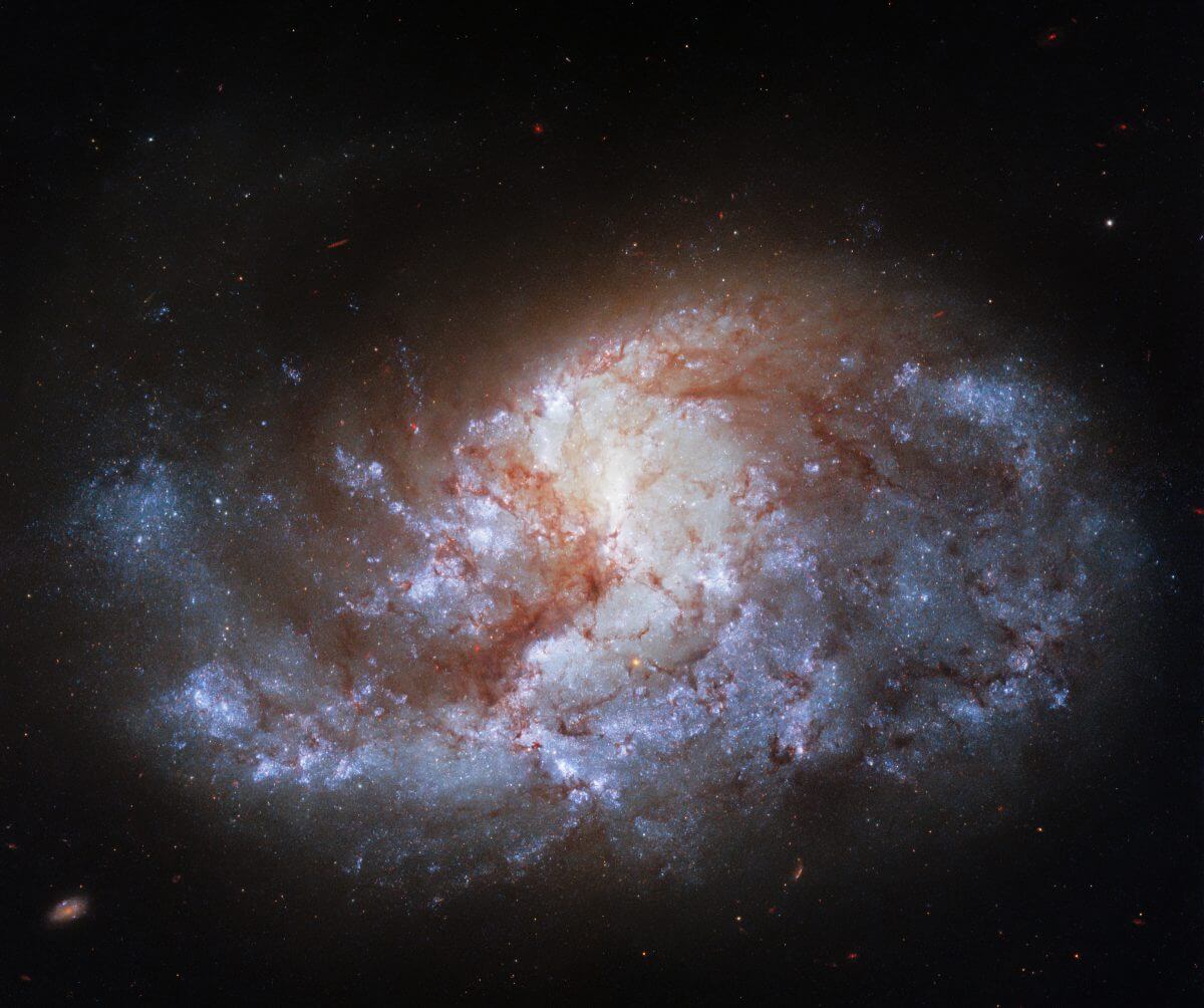 棒渦巻銀河「NGC 1385」（Credit: ESA/Hubble & NASA, J. Lee and the PHANGS-HST Team）