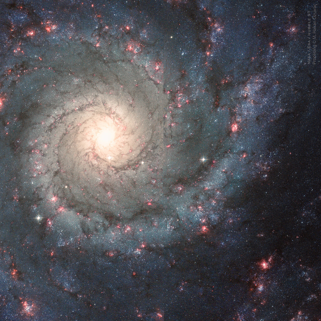 渦巻銀河「M74」（Credit: NASA, ESA, Hubble, HLA; Processing: Mehmet Hakan Ozsarac）