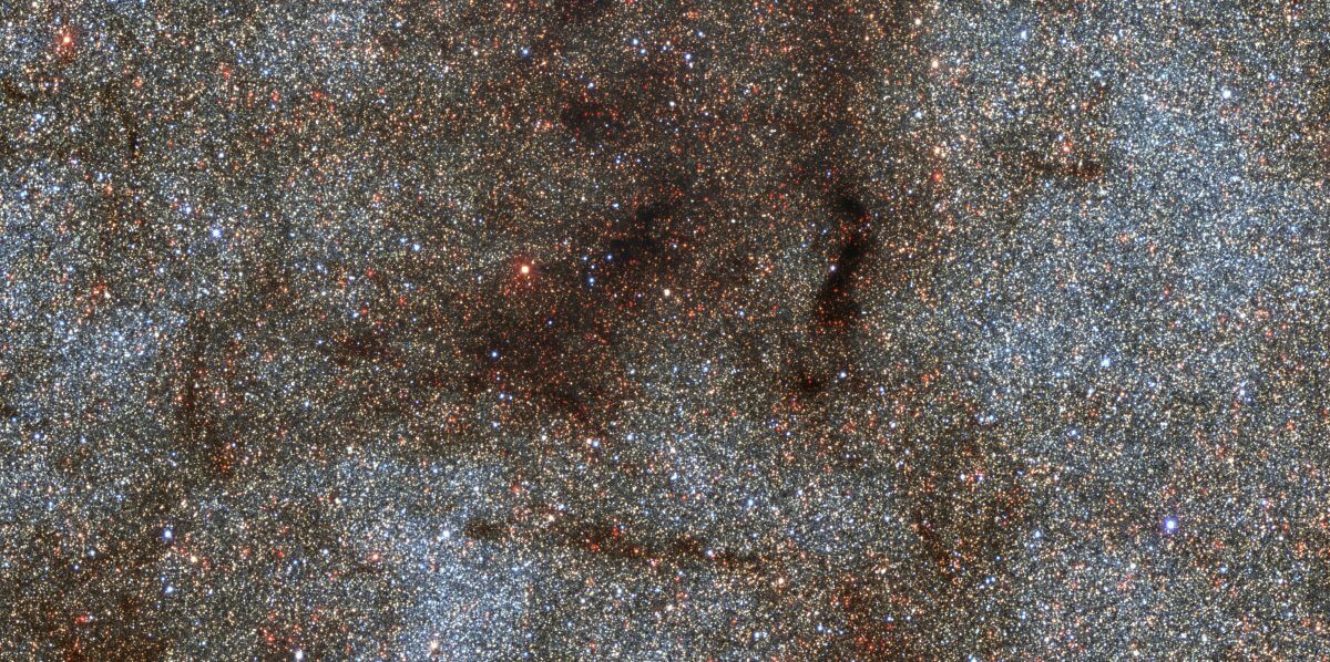 天の川銀河の中心方向（0.5×0.25度）にある18万個以上の星々（Credit: CTIO/NOIRLab/DOE/NSF/AURA/STScI, W. Clarkson (UM-Dearborn), C. Johnson (STScI), and M. Rich (UCLA)）